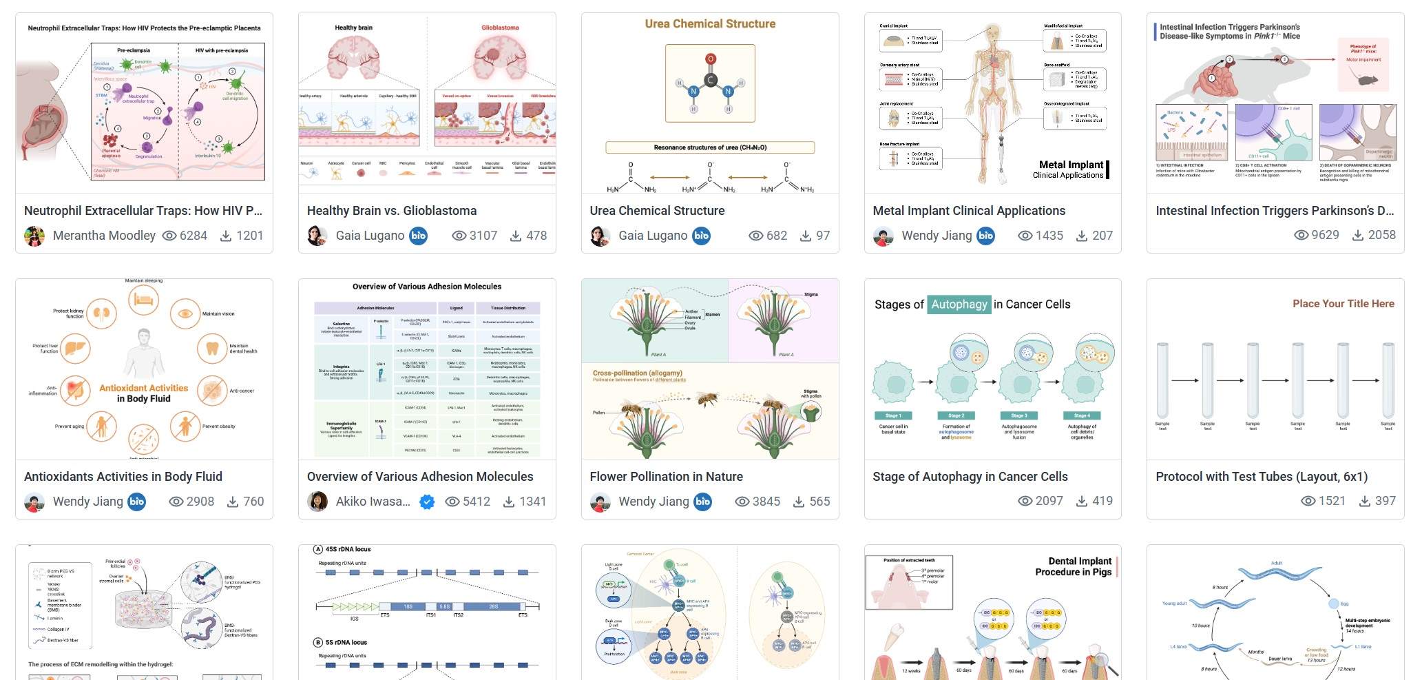 Template gallery on BioRender